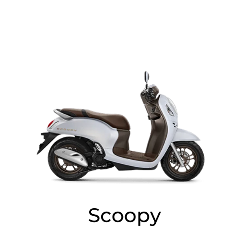 Honda Scoopy